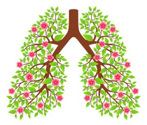 The trees and our lungs are a mirror image of each other.